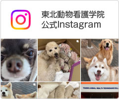 東北動物看護学院公式Instagram